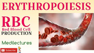 RBC PRODUCTION  ERYTHROPOIESIS explained clearly in Tamil [upl. by Josephina]