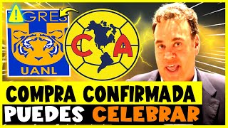 🚨 ¡EL REFUERZO DE TIGRES MÁS ESPERADO FINALMENTE LLEGÓ  ¡LAS ÚLTIMAS NOTICIAS DE TIGRES DE HOY [upl. by Leinod]