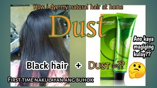 BREMOD HAIR COLOR  DUST  HAIR COLORING  HOW I DYE MY NATURAL HAIR [upl. by Atnoed878]