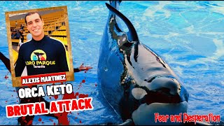 Tragic Death of Killer Whale Trainer The Horrifying Incident Unveiled [upl. by Azral867]