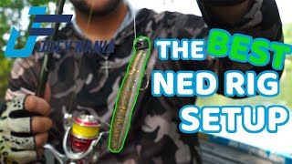 The BEST NED Rig Setup   Rod Reel and Bait [upl. by Aniled726]