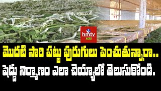 Silkworm Rearing  Sericulture Shed Construction  hmtv Agri [upl. by Hattie557]