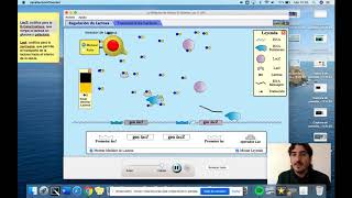 Simulación del Operón Lac  2º Bachillerato  Biología [upl. by French371]