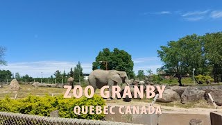 ZOO GRANBY [upl. by Auahsoj]