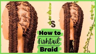 How to do a Fishtail Braid  Easy amp Simple  Dreadlock Hairstyles [upl. by Clinton]