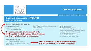 Using the ClinGen Allele Registry [upl. by Ninnetta]