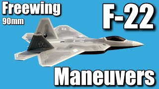 Freewing F22 Aerobatic Maneuvers [upl. by Inahpets]