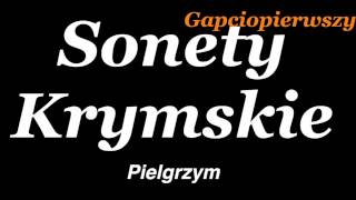 quot Pielgrzymquot  Adam Mickiewicz Sonety Krymskie [upl. by Nylirek]