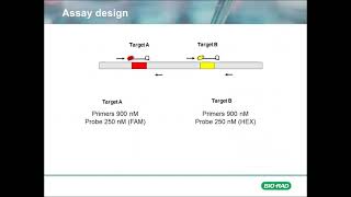 Foundational Concepts Copy Number Variation in Digital PCR Part 1 [upl. by Normie]