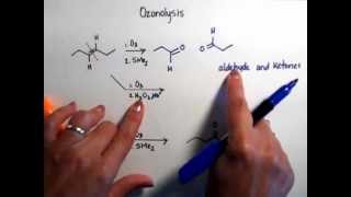 Problem 9 Ozonolysis [upl. by Raoul]