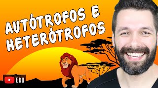 ORGANISMOS AUTÓTROFOS E HETERÓTROFOS  Biologia com Samuel Cunha [upl. by Arny248]