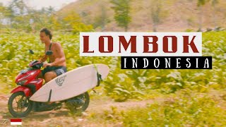 SURFING in LOMBOK 🇮🇩 Indonesia [upl. by Nagiam519]