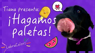 Tiana presenta quot¡HAGAMOS PALETASquot  LABRACOLORS [upl. by Yanrahs]