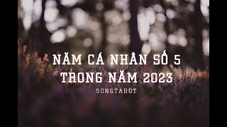 năm cá nhân số 5 trong năm 2023 [upl. by Magdalene903]