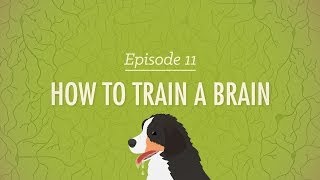 How to Train a Brain Crash Course Psychology 11 [upl. by Slotnick537]