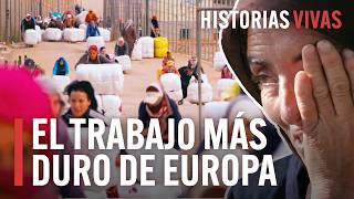 Las mulas humanas de Melilla el trabajo más duro de Europa  Historias Vivas  Documental HD [upl. by Anyd709]