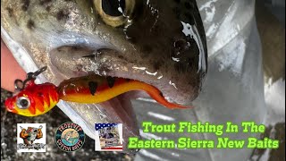 Eastern Sierra Trout Fishing New Baits and Prototypes  Bite was on Fire [upl. by Leasia]