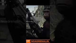 Apes attack human movieclips shortvideo [upl. by Klayman616]