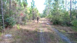 Deer Steals ATV [upl. by Ferrell414]