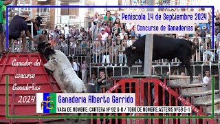 Peñiscola 14 ◾ 09 ◾ 2024 ◾ Ganadería Alberto Garrido ◾Campeón del Concurso de Ganaderías [upl. by Dobson]