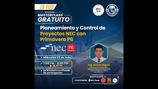 MS Planeamiento y Control de Proyectos NEC con Primavera P6 [upl. by Raynah]