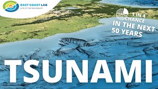 The Hikurangi Subduction Zone  Scientists explain their work on NZs largest fault [upl. by Katharina66]