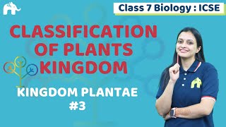 Classification of Plants Kingdom Class 7 ICSE Biology Chapter 2  Selina  Kingdom Plantae 3 [upl. by Hsetirp]