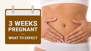 3 Weeks Pregnant What to Expect [upl. by Jamie]