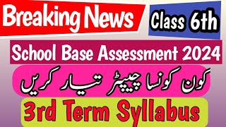 Class 6th Syllabus School Based Assessment 2024  SBA Final Term papers 6th Class PEC Grade [upl. by Ecallaw]