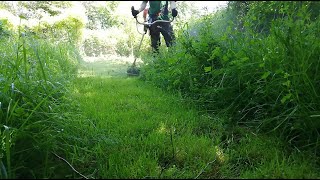 OVERGROWN Grass Clearing Work with a STIHL String Trimmer [upl. by Ateekahs529]