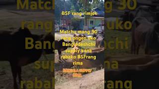 Matchu mang 30 rang onga Bangladesh chi chalan kagipako BSF rang rimaha [upl. by Retsim]