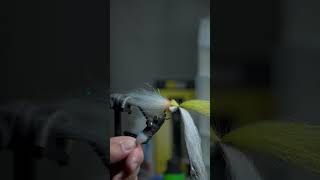 Baja Saltwater Streamer Fly Tying Session 4 [upl. by Raphaela]