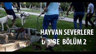 KÖPEKLERİMİZİ ALMAYA ÇALIŞTILAR VERMEDİK SON DURUM [upl. by Nadnal118]