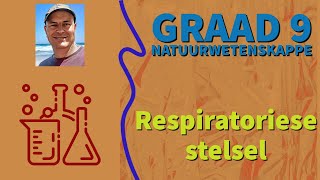 NW Graad 9 Respiratoriese stelsel [upl. by Javier]