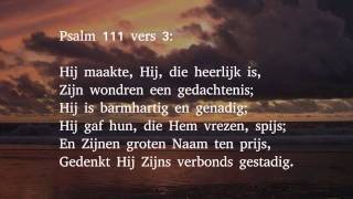 Psalm 111 vers 2 3 en 5  Des Heeren werken zijn zeer groot [upl. by Smaoht]