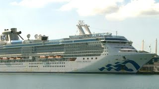 Kreuzfahrtschiff mit zwei CoronaToten legt in Florida an  AFP [upl. by Odracer]