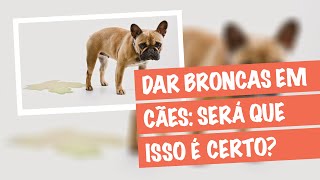 Como adestrar um cachorro  Dar Broncas Será que Isso é Certo [upl. by Levesque]