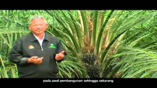 All Cosmos Industries RealStrong Television Commercial Bahasa Melayu 2 [upl. by Jarl378]