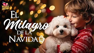 El milagro de la Navidad  Película Cristiana [upl. by Llednil954]