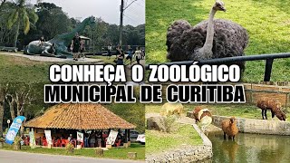 Passeio pelo Zoológico de Curitiba Conheça os Animais e a Natureza [upl. by Canotas169]