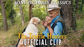 THE TRUFFLE HUNTERS  quotBirbaquot Official Clip [upl. by Llenrahc]