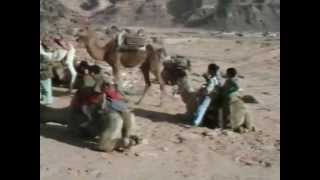 The wadi Rum Jordanie  Jordan  الأردن in 1991 [upl. by Box]