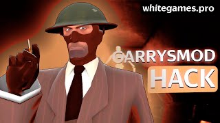 Best Garry’s Mod Free Cheats  Free Download 2024  Garry’s Mod AIM  WH [upl. by Merv]