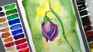 How to Paint a Sweet Pea Blossom in Watercolor [upl. by Purington60]