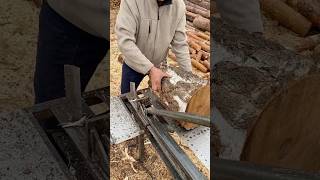 🌳Birch🌳is the best👍tree for firewood🪵 firewood woodworking splitter woodcutter [upl. by Keegan]