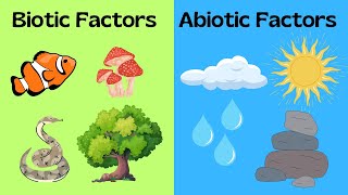 Biotic and Abiotic Factors [upl. by Ylime]