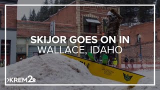 Skijoring goes on in Wallace Idaho [upl. by Suryt]