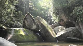 Mongaguá Praias pesca e ecoturismo [upl. by Mit]