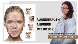 Mit Botox Augenbrauen anheben  Eyebrow Lifting  einfach erklärt von Drmed Natalie Wiesen [upl. by Denman721]