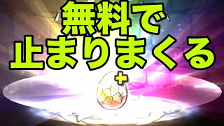 溜めまくったスーパーゴッドフェスを全開放する男【パズドラ】 [upl. by Niloc]